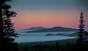 Preview wallpaper tree, lake, hills, silhouettes, night