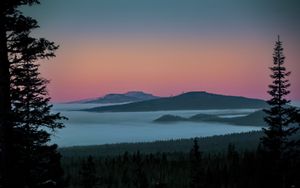 Preview wallpaper tree, lake, hills, silhouettes, night