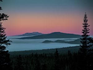 Preview wallpaper tree, lake, hills, silhouettes, night