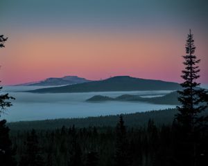 Preview wallpaper tree, lake, hills, silhouettes, night