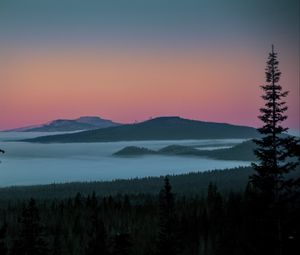 Preview wallpaper tree, lake, hills, silhouettes, night