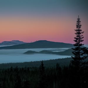 Preview wallpaper tree, lake, hills, silhouettes, night