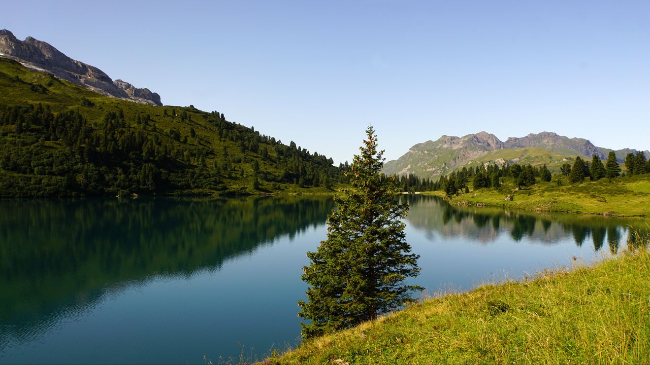 Wallpaper tree, lake, hills, trees, nature