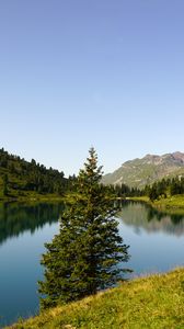 Preview wallpaper tree, lake, hills, trees, nature