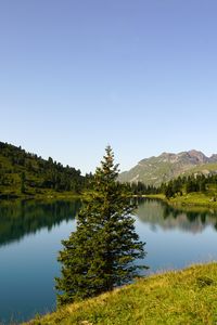 Preview wallpaper tree, lake, hills, trees, nature