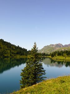 Preview wallpaper tree, lake, hills, trees, nature