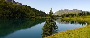 Preview wallpaper tree, lake, hills, trees, nature