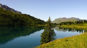 Preview wallpaper tree, lake, hills, trees, nature