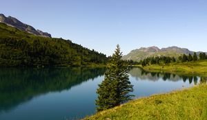Preview wallpaper tree, lake, hills, trees, nature