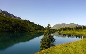 Preview wallpaper tree, lake, hills, trees, nature