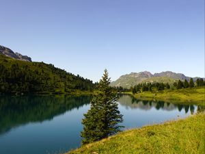 Preview wallpaper tree, lake, hills, trees, nature