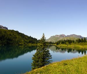 Preview wallpaper tree, lake, hills, trees, nature