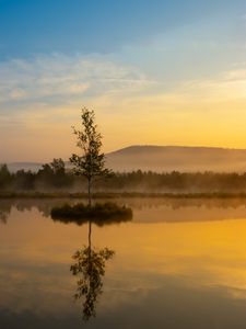 Preview wallpaper tree, lake, mist, sunrise