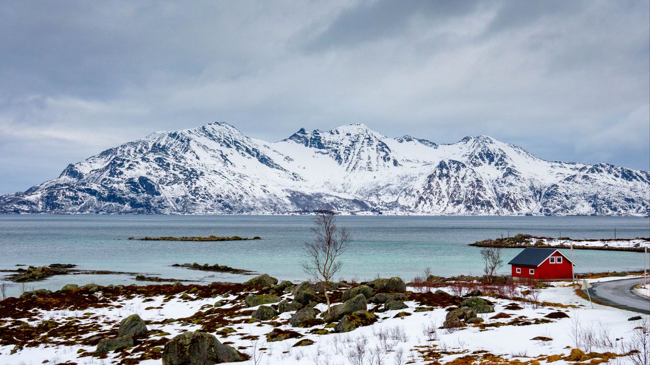 Wallpaper tree, lake, mountain, snow, winter