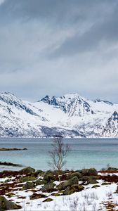 Preview wallpaper tree, lake, mountain, snow, winter