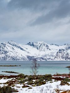 Preview wallpaper tree, lake, mountain, snow, winter