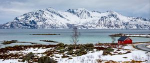 Preview wallpaper tree, lake, mountain, snow, winter