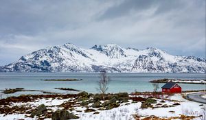Preview wallpaper tree, lake, mountain, snow, winter