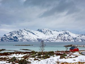 Preview wallpaper tree, lake, mountain, snow, winter