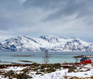 Preview wallpaper tree, lake, mountain, snow, winter