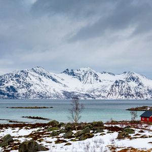 Preview wallpaper tree, lake, mountain, snow, winter