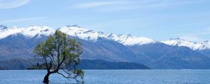 Preview wallpaper tree, lake, mountains, wanaka, new zealand