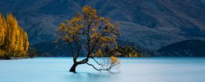 Preview wallpaper tree, lake, mountains, peaks, snow, snowy