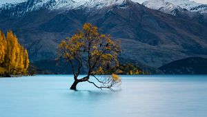 Preview wallpaper tree, lake, mountains, peaks, snow, snowy