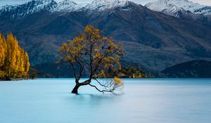 Preview wallpaper tree, lake, mountains, peaks, snow, snowy