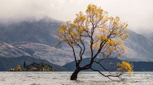 Preview wallpaper tree, lake, mountains, fog, clouds