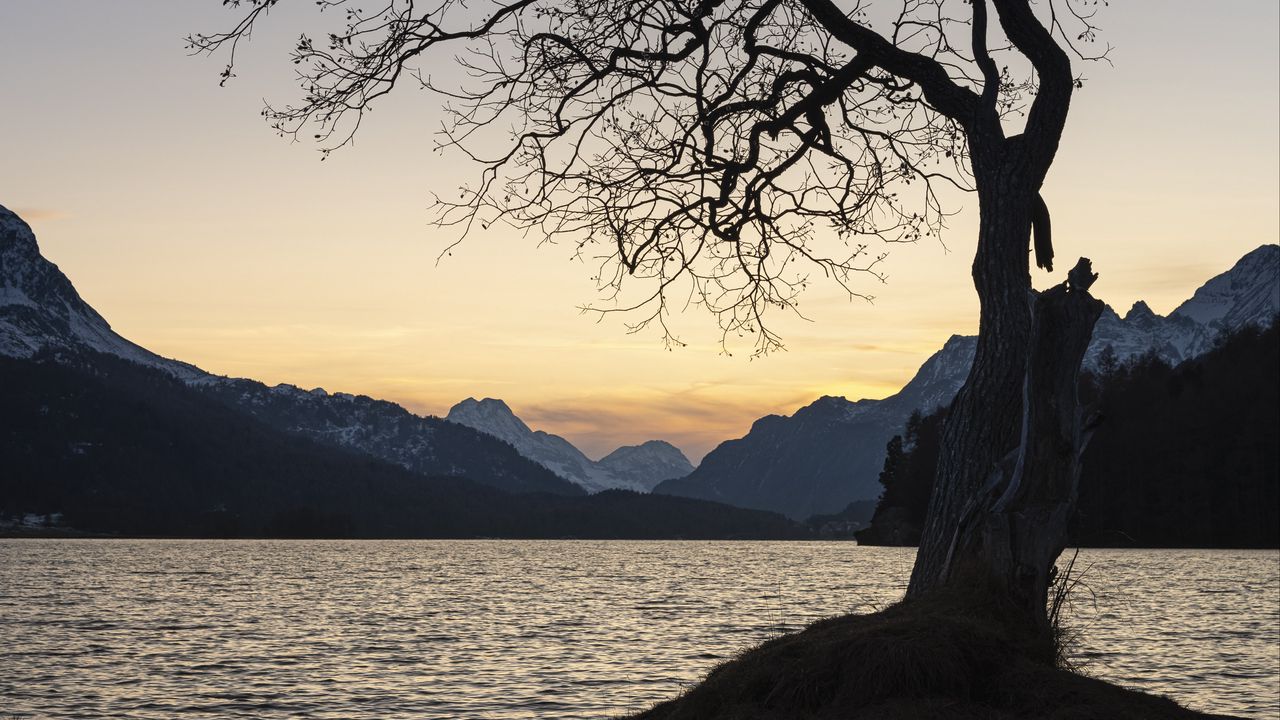 Wallpaper tree, lake, mountains, dusk