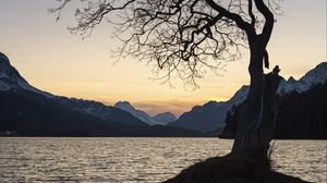Preview wallpaper tree, lake, mountains, dusk
