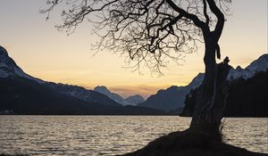 Preview wallpaper tree, lake, mountains, dusk