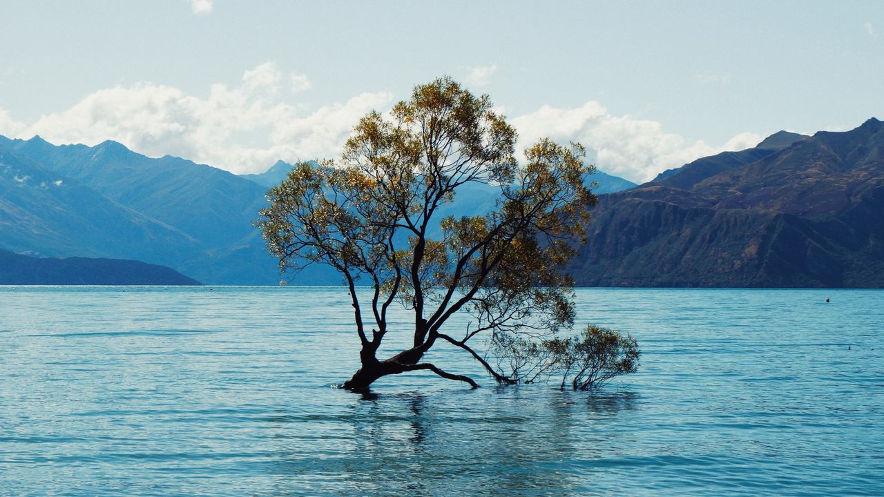 Wallpaper tree, lake, mountains, nature, landscape
