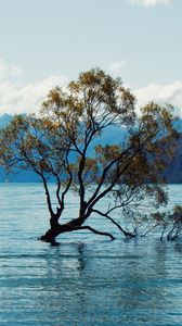 Preview wallpaper tree, lake, mountains, nature, landscape