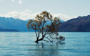 Preview wallpaper tree, lake, mountains, nature, landscape