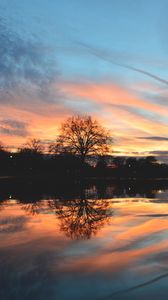 Preview wallpaper tree, lake, pond, evening, sunset