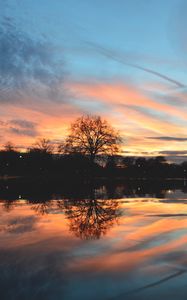 Preview wallpaper tree, lake, pond, evening, sunset