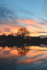 Preview wallpaper tree, lake, pond, evening, sunset