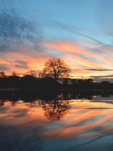 Preview wallpaper tree, lake, pond, evening, sunset
