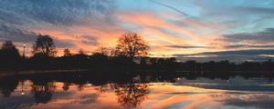 Preview wallpaper tree, lake, pond, evening, sunset