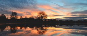 Preview wallpaper tree, lake, pond, evening, sunset