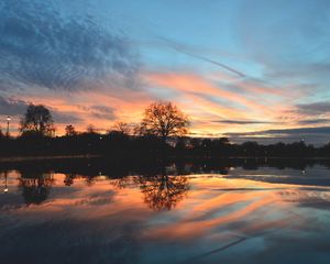 Preview wallpaper tree, lake, pond, evening, sunset