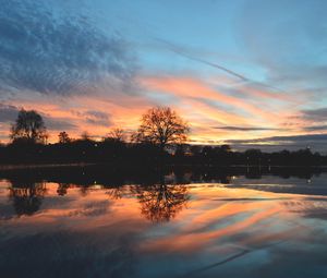 Preview wallpaper tree, lake, pond, evening, sunset