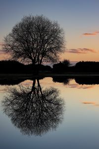 Preview wallpaper tree, lake, reflection, dusk, dark