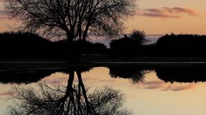 Preview wallpaper tree, lake, reflection, dusk, dark