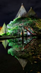 Preview wallpaper tree, lake, reflection, gazebo, light, dark
