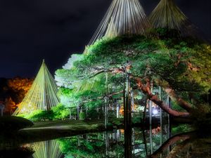 Preview wallpaper tree, lake, reflection, gazebo, light, dark