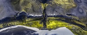 Preview wallpaper tree, lake, sand, shore, distortion