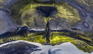 Preview wallpaper tree, lake, sand, shore, distortion